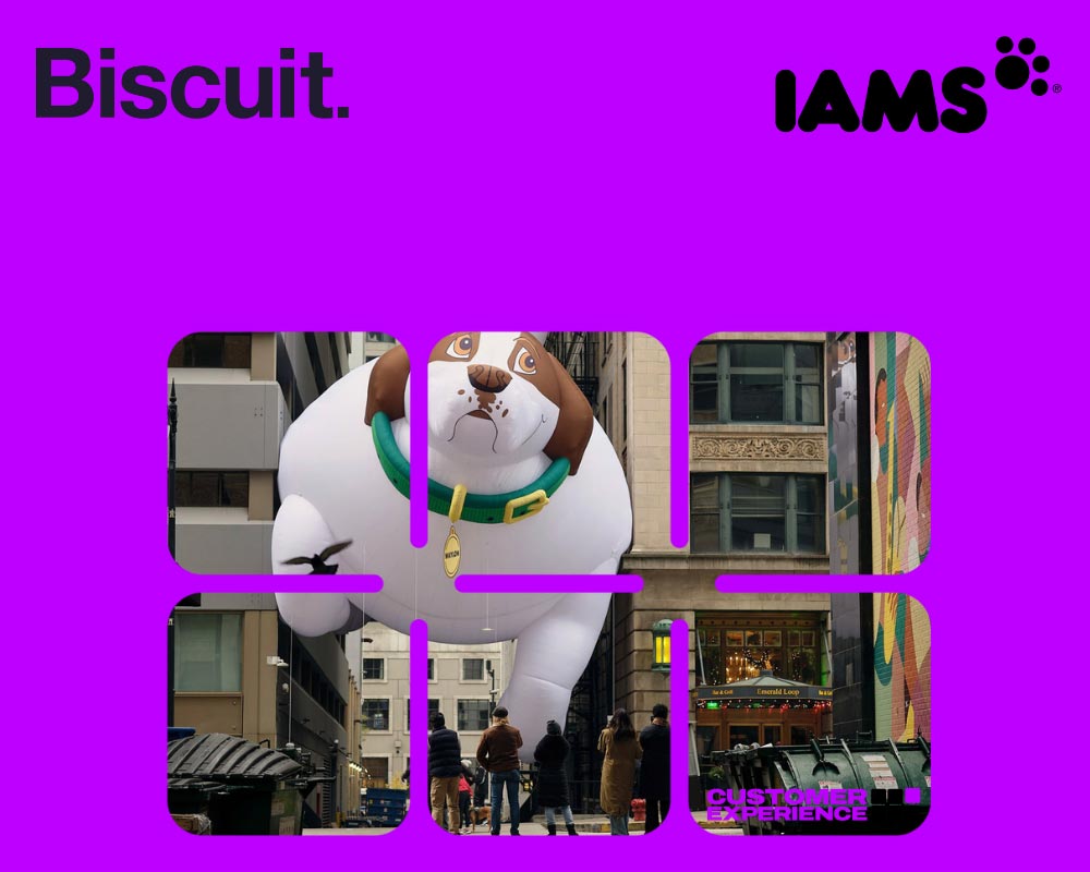 IAMS